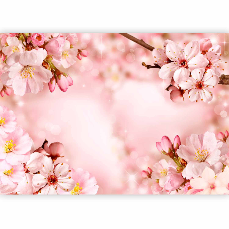 Photo Wallpaper Spring - pink composition of cherry blossoms on a background with 62329 additionalImage 5