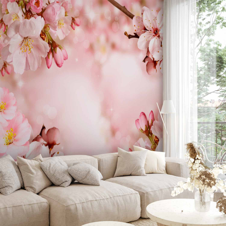 Photo Wallpaper Spring - pink composition of cherry blossoms on a background with 62329