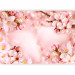 Photo Wallpaper Spring - pink composition of cherry blossoms on a background with 62329 additionalThumb 5