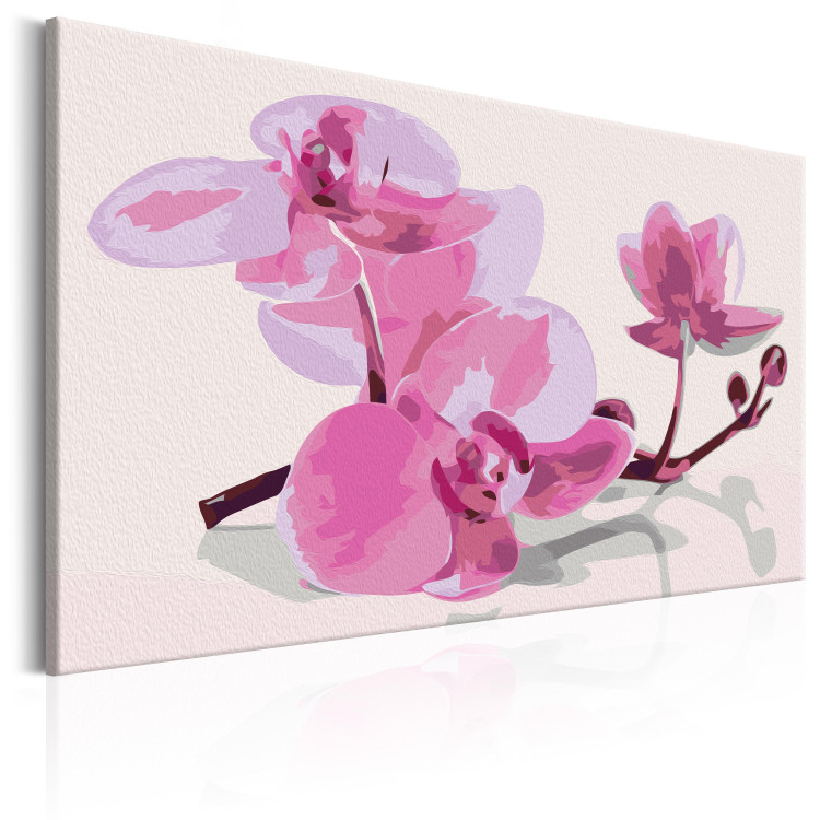 Paint by number Orchid Flowers 107139 additionalImage 4
