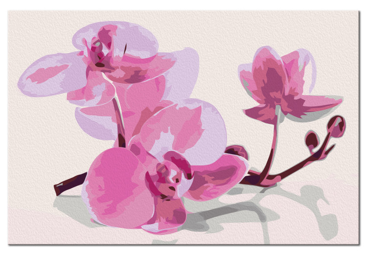 Paint by number Orchid Flowers 107139 additionalImage 6