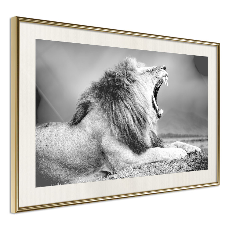 Wall Poster Roaring Lion - black and white composition with a roaring lion on the savanna 116439 additionalImage 2