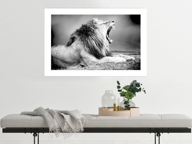 Wall Poster Roaring Lion - black and white composition with a roaring lion on the savanna 116439 additionalImage 2
