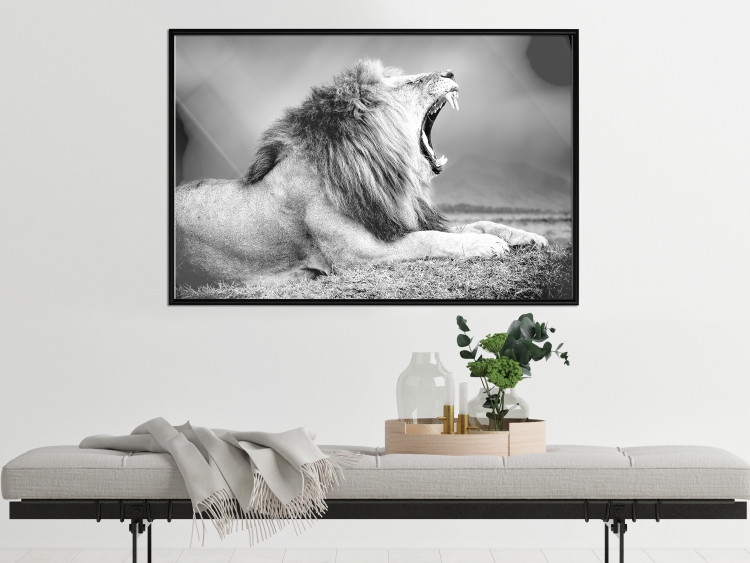 Wall Poster Roaring Lion - black and white composition with a roaring lion on the savanna 116439 additionalImage 5