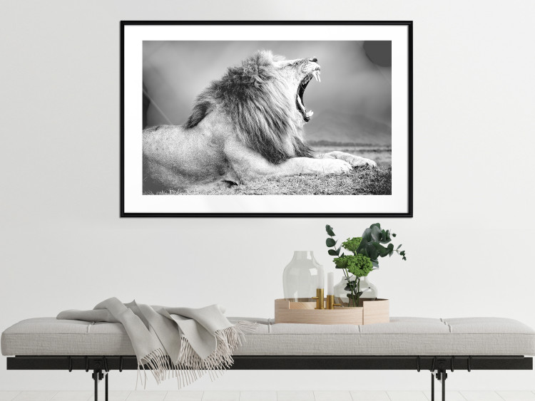 Wall Poster Roaring Lion - black and white composition with a roaring lion on the savanna 116439 additionalImage 6