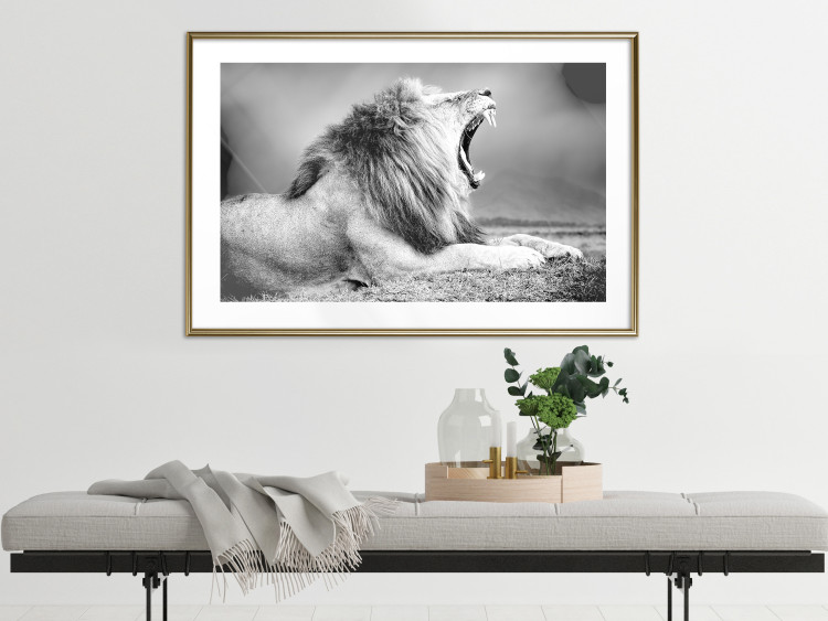 Wall Poster Roaring Lion - black and white composition with a roaring lion on the savanna 116439 additionalImage 13