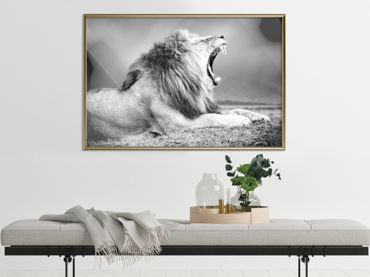 Wall Poster Roaring Lion - black and white composition with a roaring lion on the savanna 116439 additionalImage 7