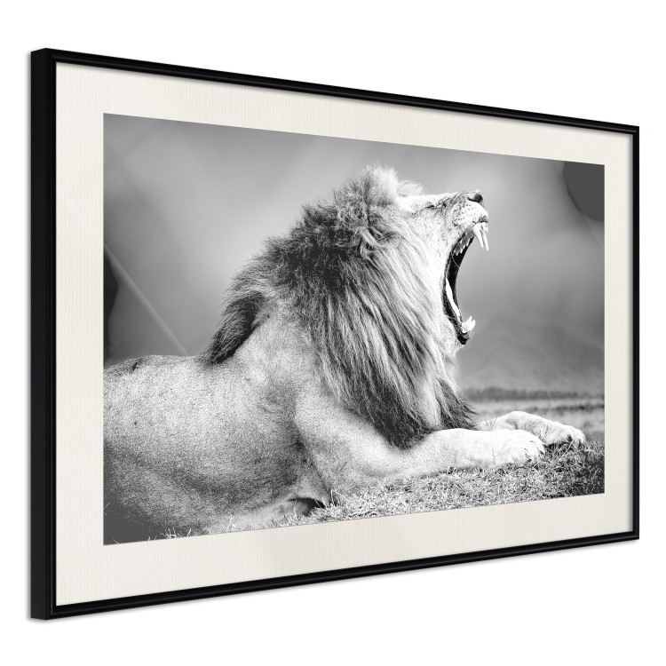 Wall Poster Roaring Lion - black and white composition with a roaring lion on the savanna 116439 additionalImage 3