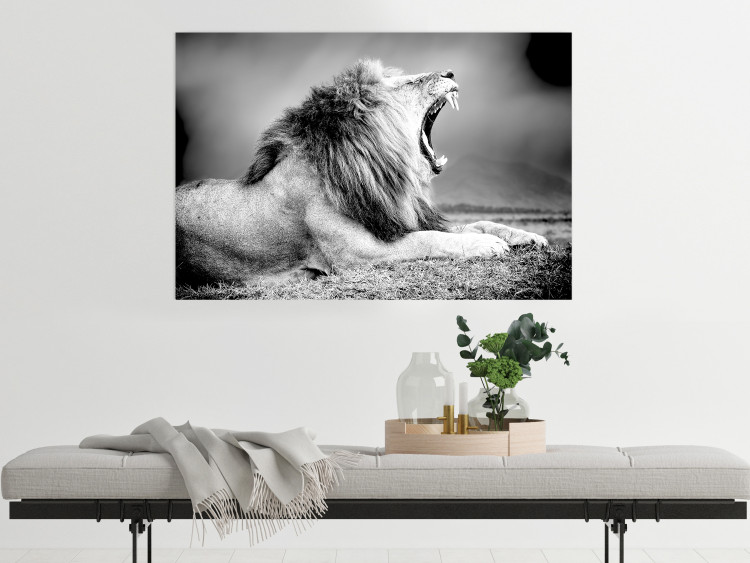 Wall Poster Roaring Lion - black and white composition with a roaring lion on the savanna 116439 additionalImage 17
