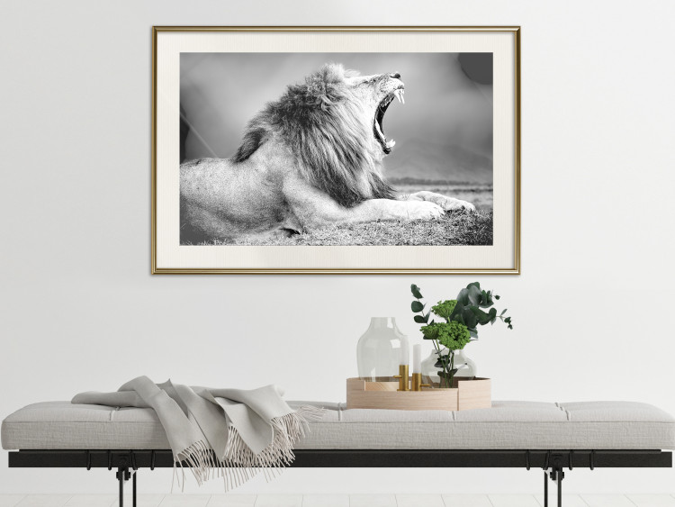 Wall Poster Roaring Lion - black and white composition with a roaring lion on the savanna 116439 additionalImage 21