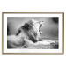 Wall Poster Roaring Lion - black and white composition with a roaring lion on the savanna 116439 additionalThumb 14