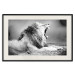 Wall Poster Roaring Lion - black and white composition with a roaring lion on the savanna 116439 additionalThumb 18