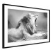 Wall Poster Roaring Lion - black and white composition with a roaring lion on the savanna 116439 additionalThumb 13