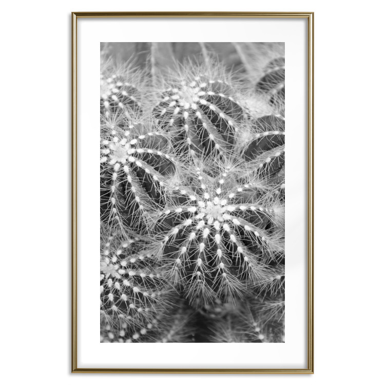 Wall Poster Risky Adventure - black and white composition with prickly plants 117939 additionalImage 14