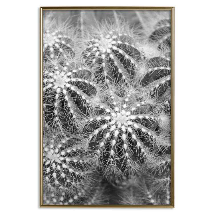 Wall Poster Risky Adventure - black and white composition with prickly plants 117939 additionalImage 16