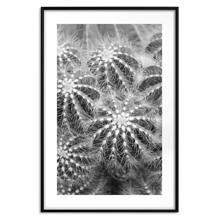 Wall Poster Risky Adventure - black and white composition with prickly plants 117939 additionalImage 15