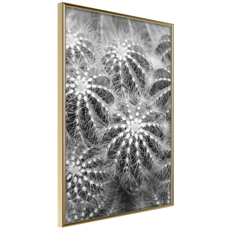 Wall Poster Risky Adventure - black and white composition with prickly plants 117939 additionalImage 12
