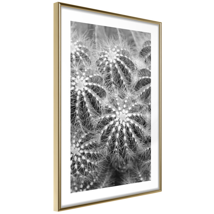 Wall Poster Risky Adventure - black and white composition with prickly plants 117939 additionalImage 6