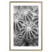 Wall Poster Risky Adventure - black and white composition with prickly plants 117939 additionalThumb 14