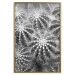 Wall Poster Risky Adventure - black and white composition with prickly plants 117939 additionalThumb 16