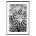Wall Poster Risky Adventure - black and white composition with prickly plants 117939 additionalThumb 15