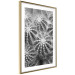 Wall Poster Risky Adventure - black and white composition with prickly plants 117939 additionalThumb 6