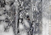 Wall Poster Silver Tree - plant abstraction in shades of gray with figures 118939 additionalThumb 9