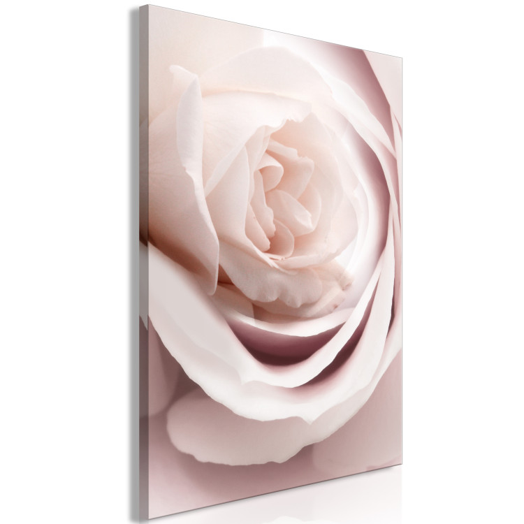 Canvas Print Pastel Charm (1-part) - Blooming Rose in Nature's Hue 122839 additionalImage 2