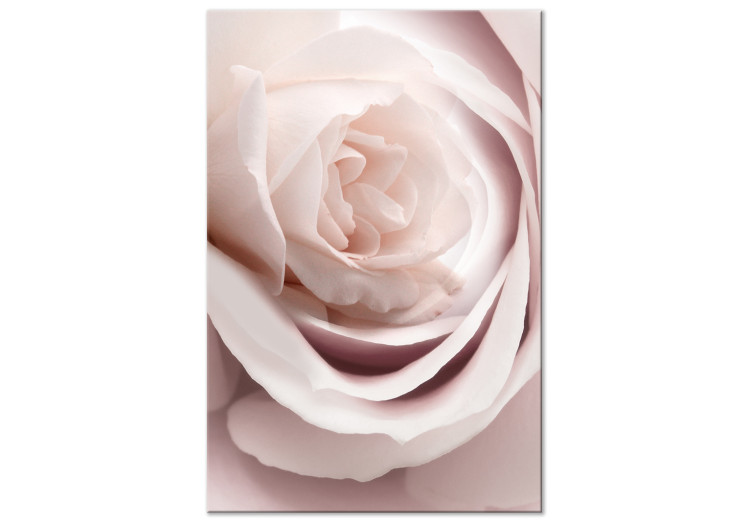 Canvas Print Pastel Charm (1-part) - Blooming Rose in Nature's Hue 122839