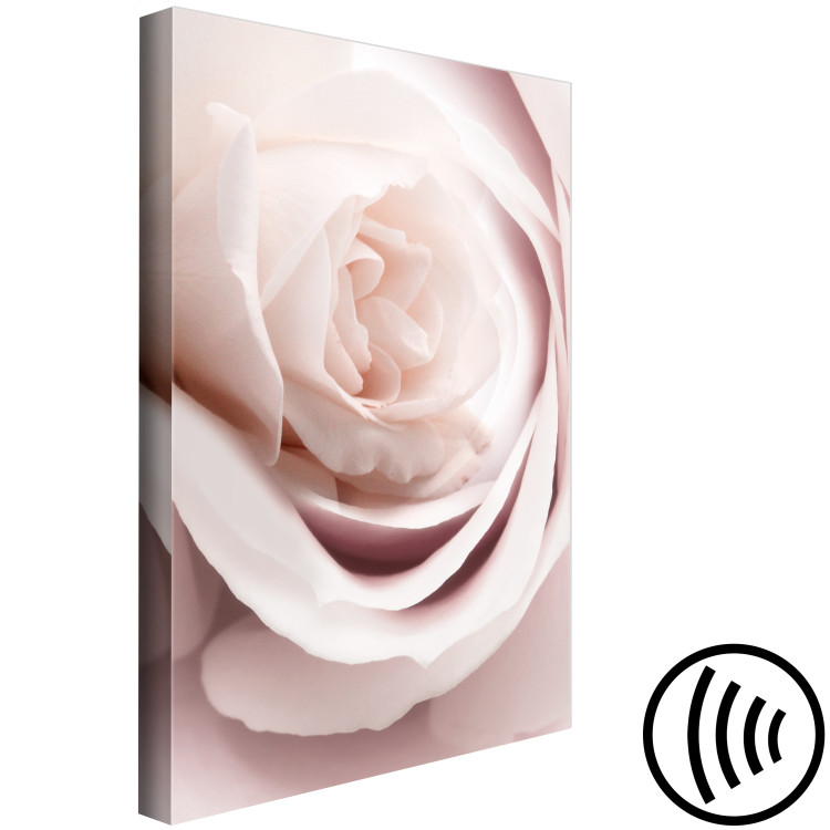 Canvas Print Pastel Charm (1-part) - Blooming Rose in Nature's Hue 122839 additionalImage 6