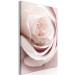 Canvas Print Pastel Charm (1-part) - Blooming Rose in Nature's Hue 122839 additionalThumb 2