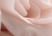 Canvas Print Pastel Charm (1-part) - Blooming Rose in Nature's Hue 122839 additionalThumb 5