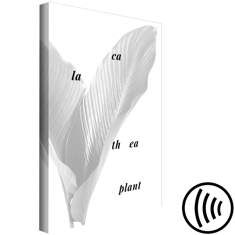 Canvas Silver calathea leaves with inscription - graphic with botanical motif 122939 additionalImage 6
