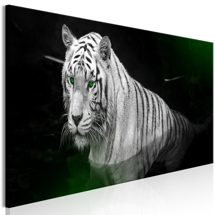 Canvas Print White tiger in the water - a photo of an animal with green eyes 123339 additionalImage 2