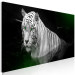 Canvas Print White tiger in the water - a photo of an animal with green eyes 123339 additionalThumb 2