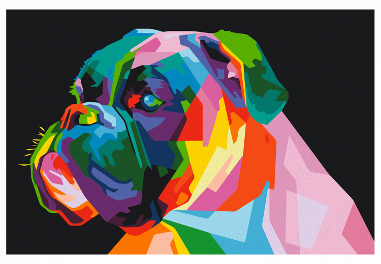 Paint by number Colourful Boxer 127439 additionalImage 7