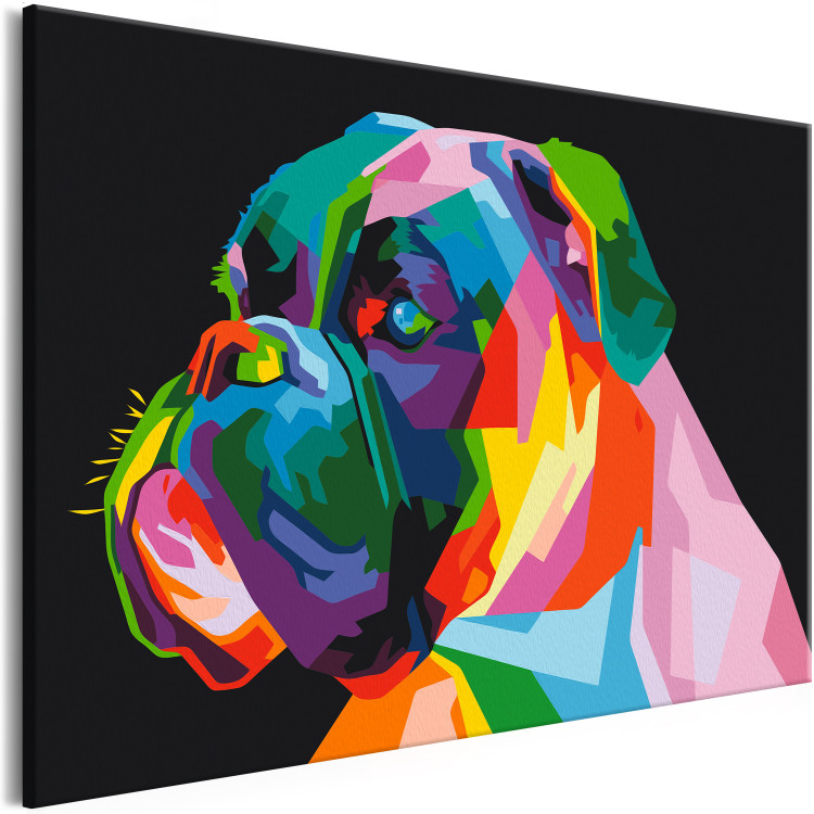 Paint by number Colourful Boxer 127439 additionalImage 4
