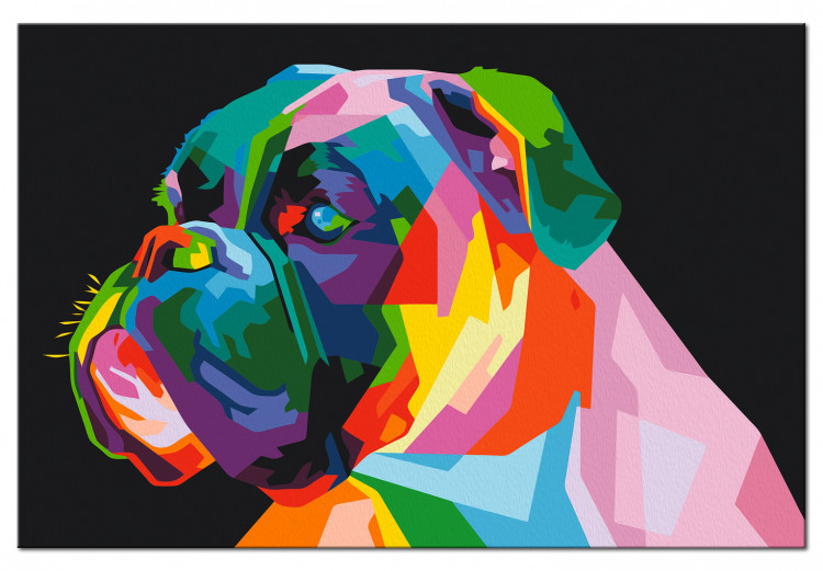 Paint by number Colourful Boxer 127439 additionalImage 6