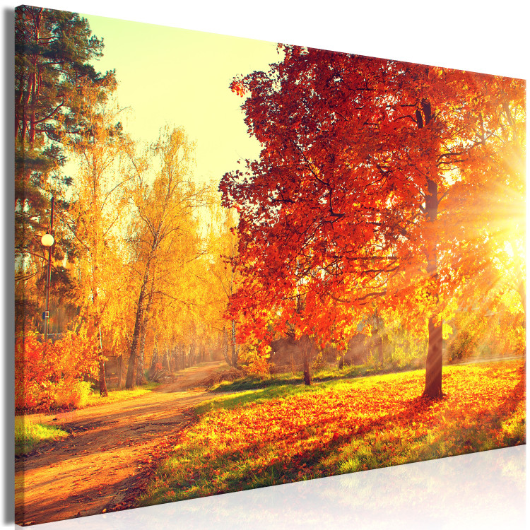 Canvas Print Autumn Afternoon (1-part) wide - golden landscape of trees 128839 additionalImage 2