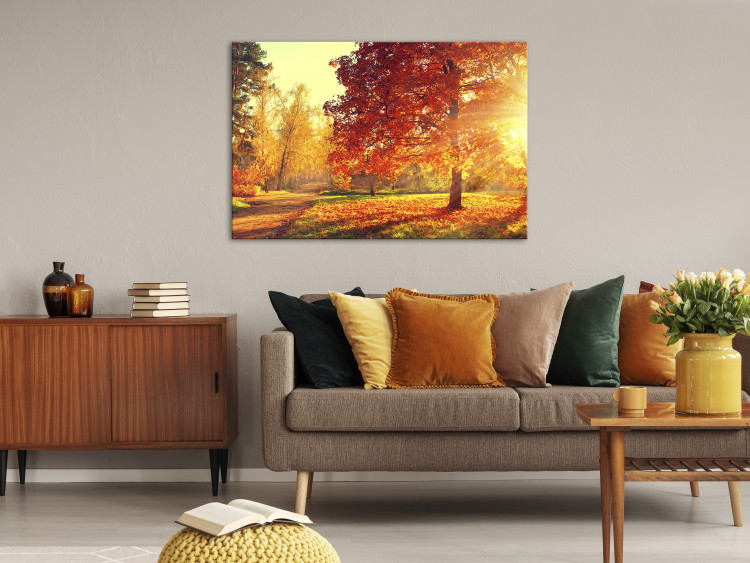 Canvas Print Autumn Afternoon (1-part) wide - golden landscape of trees 128839 additionalImage 3