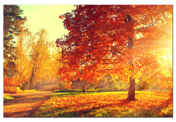 Canvas Print Autumn Afternoon (1-part) wide - golden landscape of trees 128839