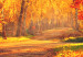 Canvas Print Autumn Afternoon (1-part) wide - golden landscape of trees 128839 additionalThumb 4