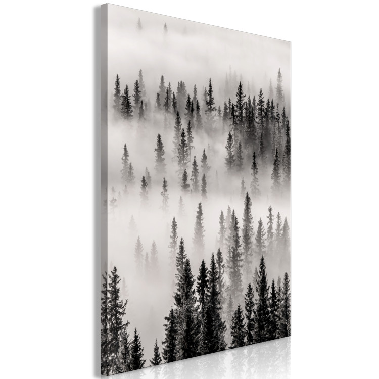 Canvas Print Nesting Ground (1-piece) Vertical - landscape of misty dark forest 130239 additionalImage 2