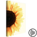 Canvas Print Closer to the Sun (1-piece) Vertical - sunflower in boho motif 135739 additionalThumb 6