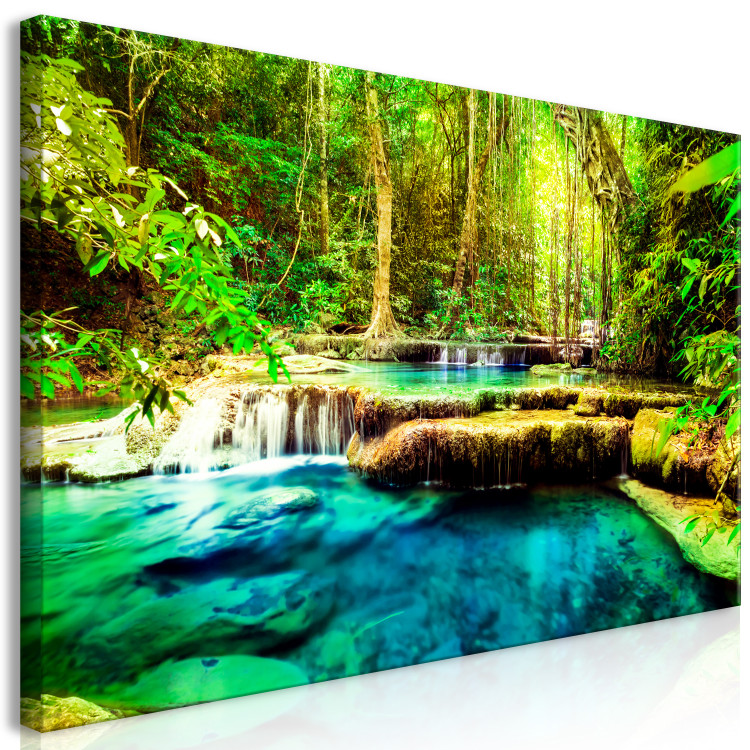 Large canvas print A Jewel of Nature II [Large Format] 137639 additionalImage 3