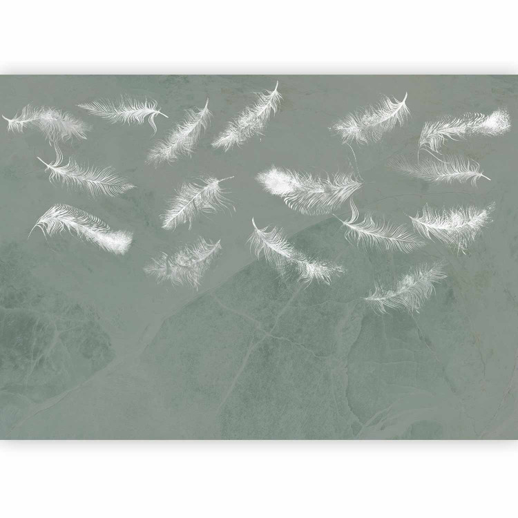 Photo Wallpaper In flight - white feathers carried by the wind on an olive background with pattern 142639 additionalImage 5