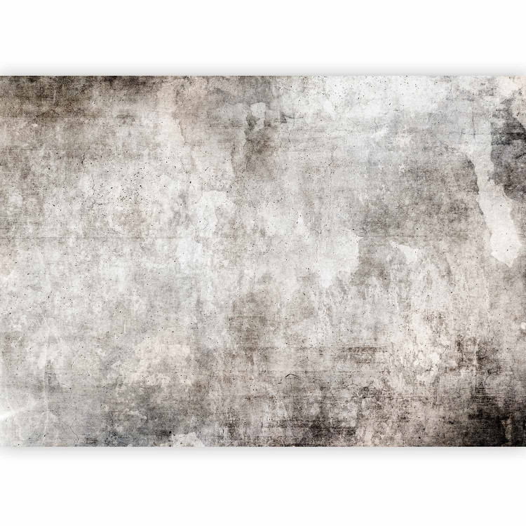 Wall Mural Parallel world - abstraction in grey tones with concrete texture 143239 additionalImage 1
