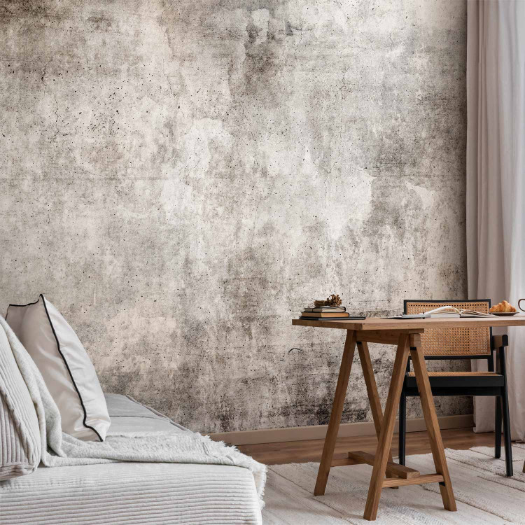 Wall Mural Parallel world - abstraction in grey tones with concrete texture 143239 additionalImage 4