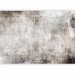 Wall Mural Parallel world - abstraction in grey tones with concrete texture 143239 additionalThumb 5