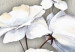 Canvas White Poppies and Silver (1-piece) Narrow - flowers on a light background 143739 additionalThumb 4